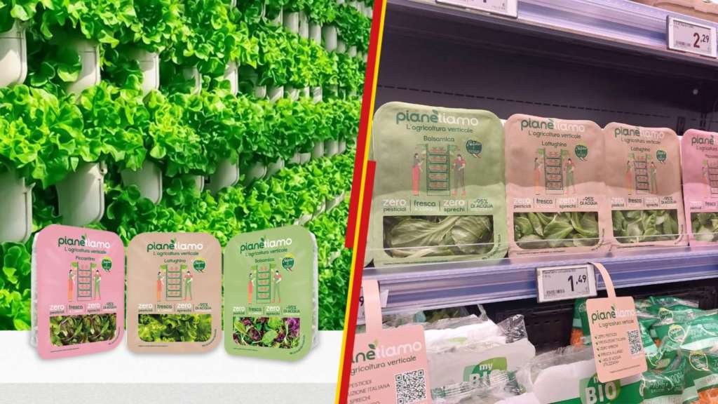 Le insalate da vertical farming lanciate da Penny Italia