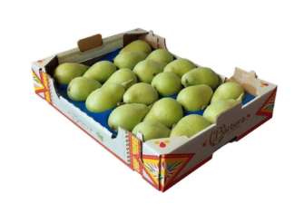 Pera Coscia dell'Etna a marchio Barbera