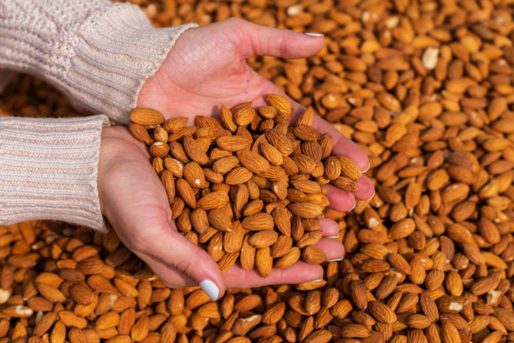 Le mandorle si confermano prodotto salutistico