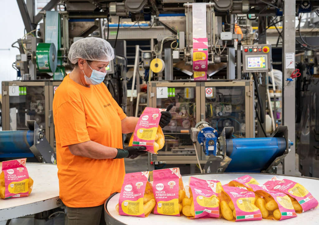 Risultati eccellenti dalla vendita delle patate Romagnoli certificate a residuo zero