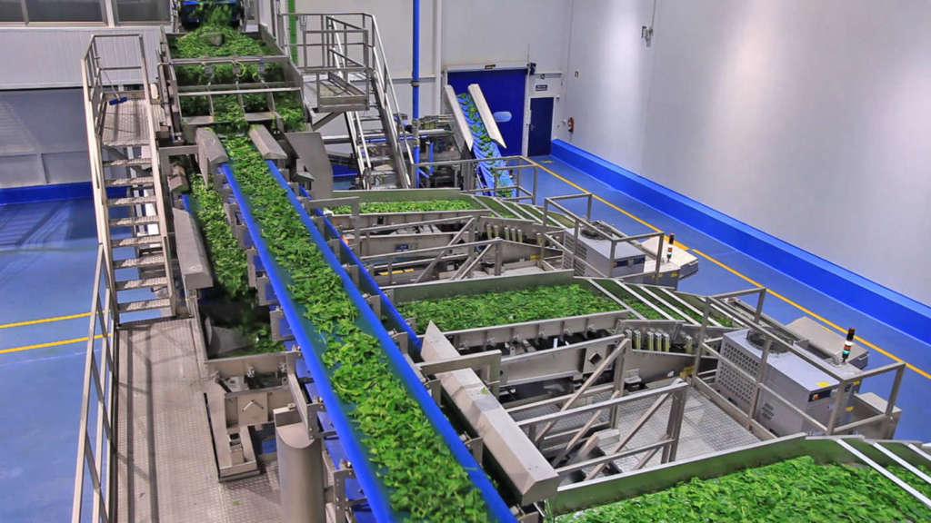 Selezionatrice Tomra Food in azione