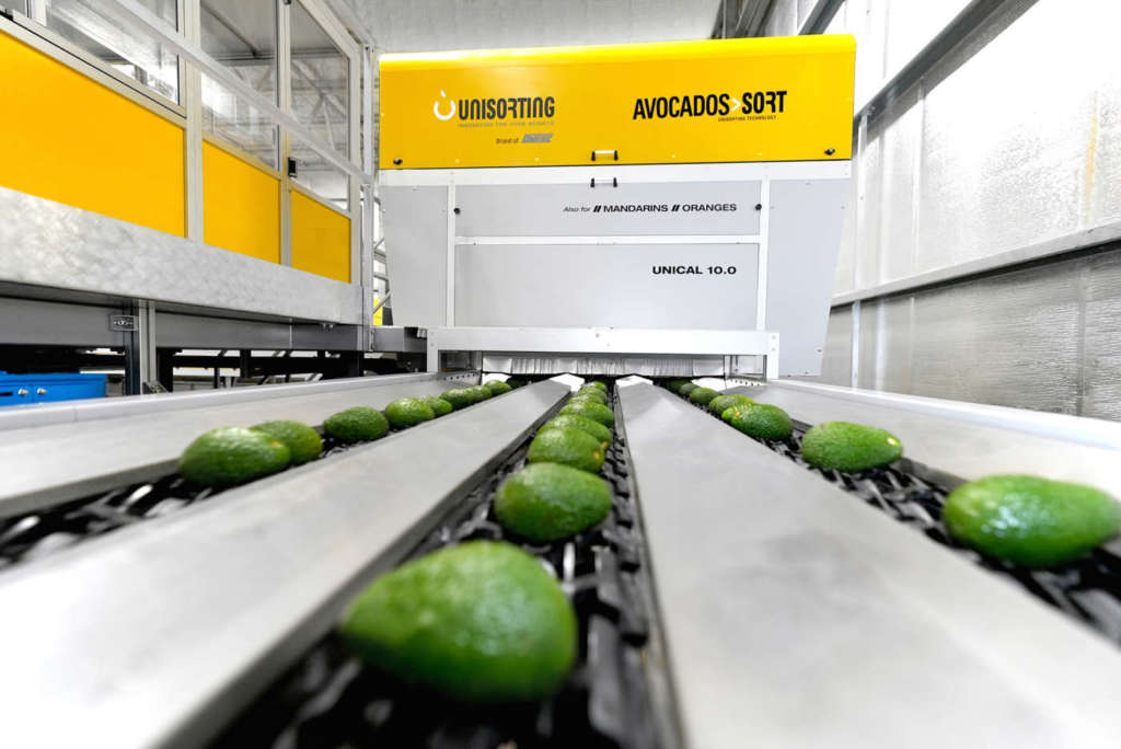 Selezionatrice ottica per avocado Unitec