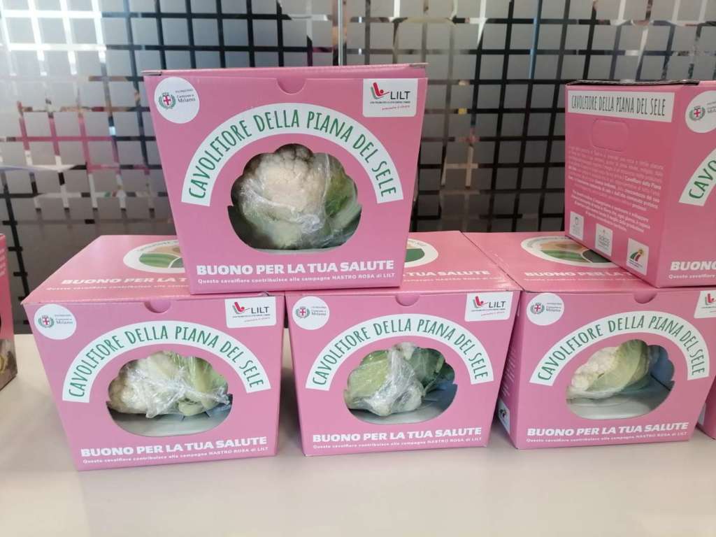 Il Cavolfiore della Piana del Sele ha avviato la procedura per diventare Igp