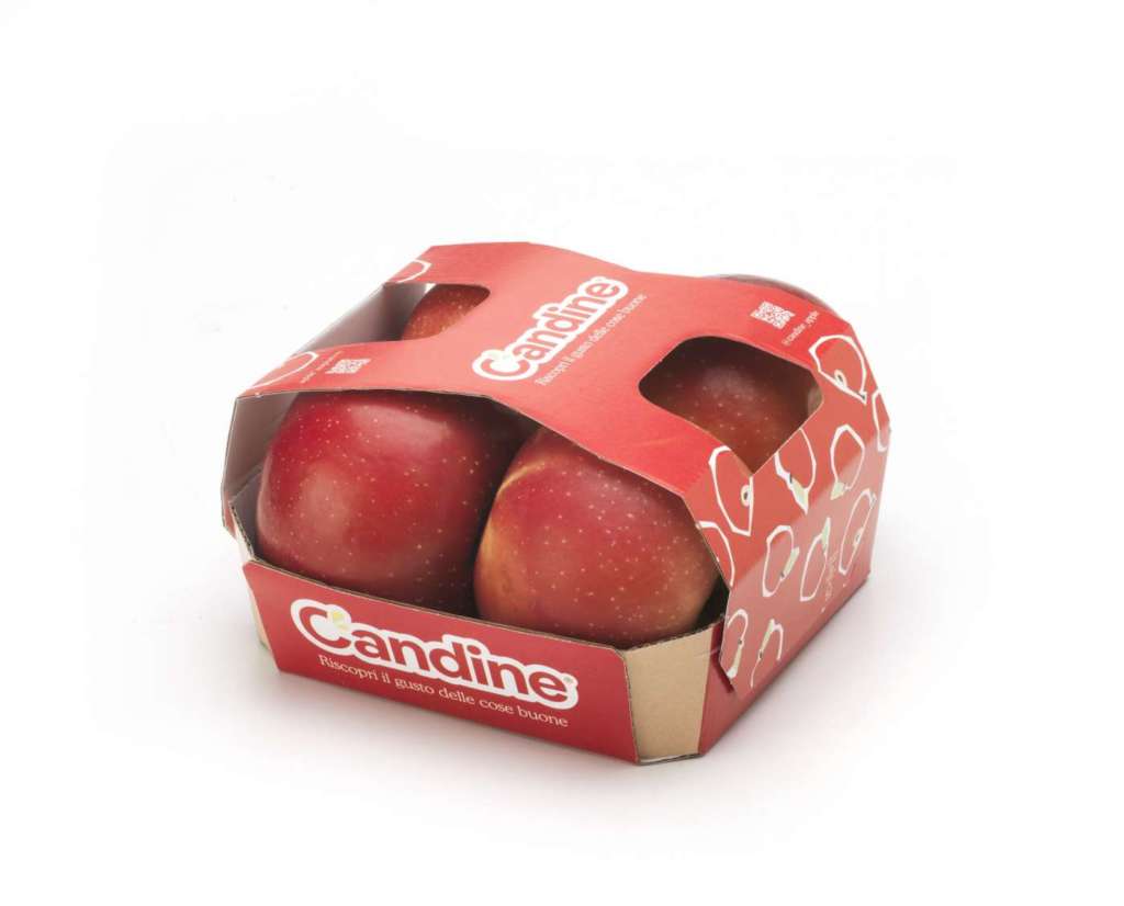 Candine vassoio 4 frutti