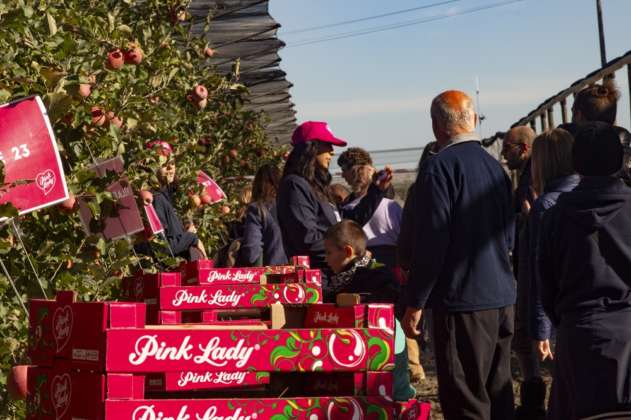 Pink Lady adotta un albero