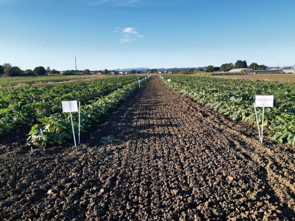 Si.Orto, campo di sperimentazione dei compost da rifiuti urbani