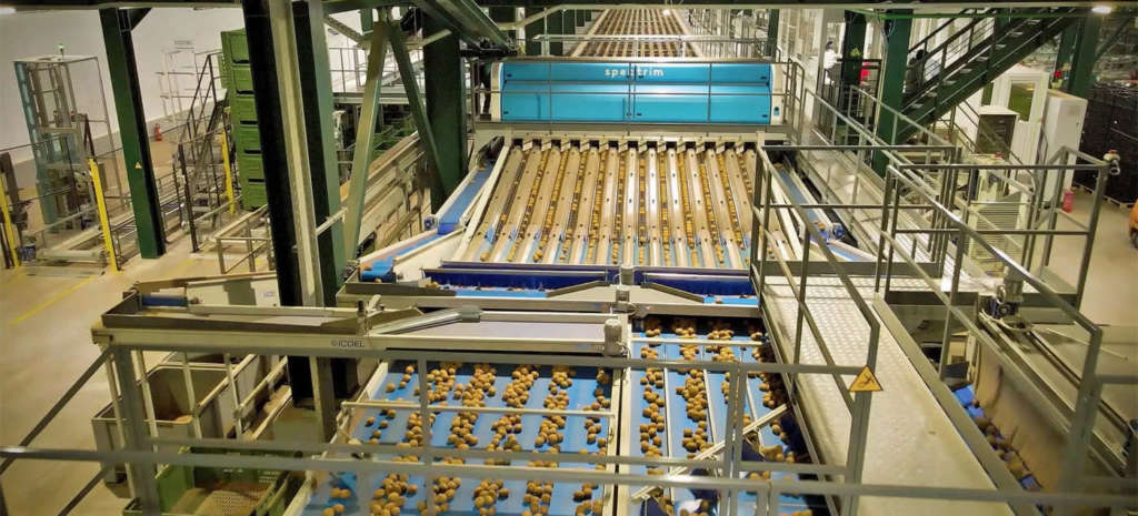 Spectrim, la piattaforma di classificazione dei frutti freschi di Tomra Food