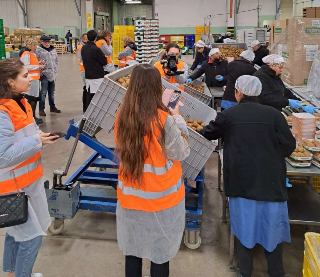 Visita allo stabilimento di kiwi Apofruit di Longiano
