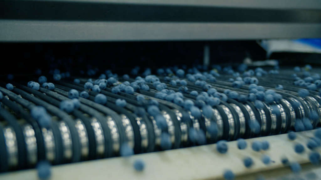 La pre-calibratrice Neon di Tomra in azione