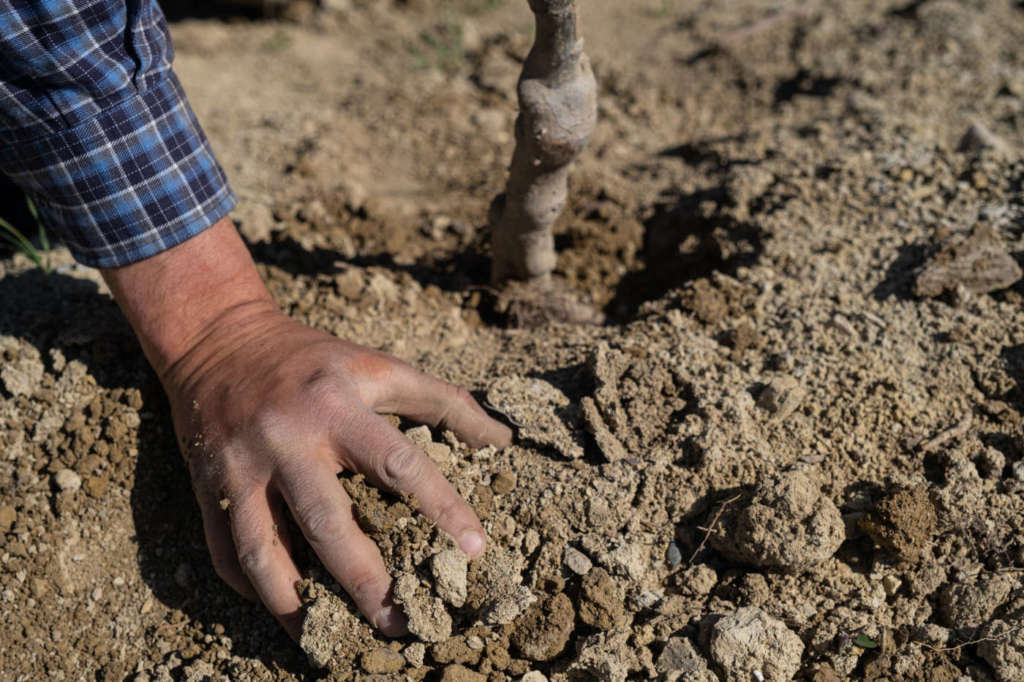 Il Consorzio Melinda continua a investire nella sostenibilità