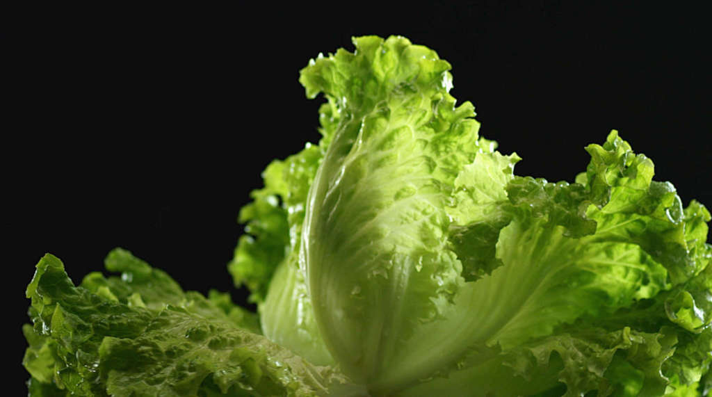 Un frame dello spot Elisir di Cedior