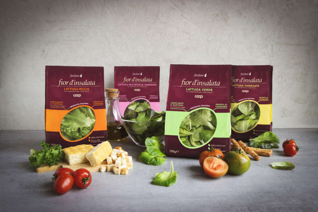 Le insalate da vertical farming di Kilometro Verde