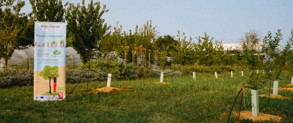 Il frutteto a Bologna, presso il Caab, di Made in Nature