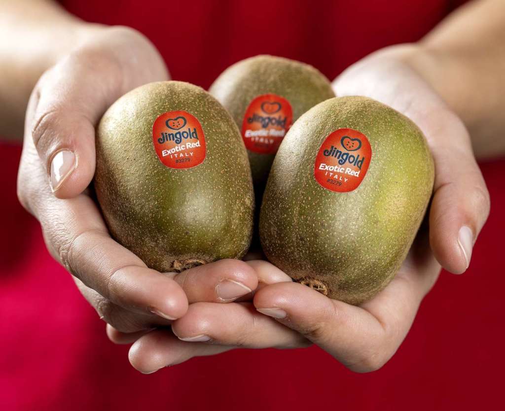 Exotic Red, il kiwi a polpa rossa e dal sapore esotico di Jingold