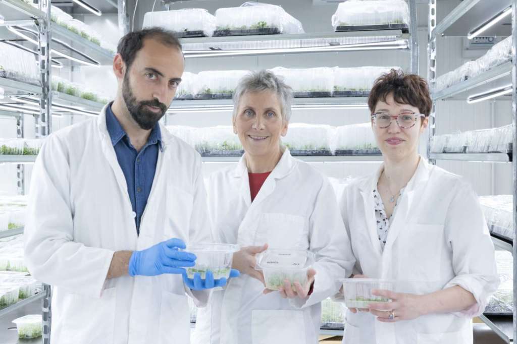 Nicola Zagari (a sx) e Francesca Balducci (a dx) responsabili di Prolab; al centro la titolare Silvia Salvi