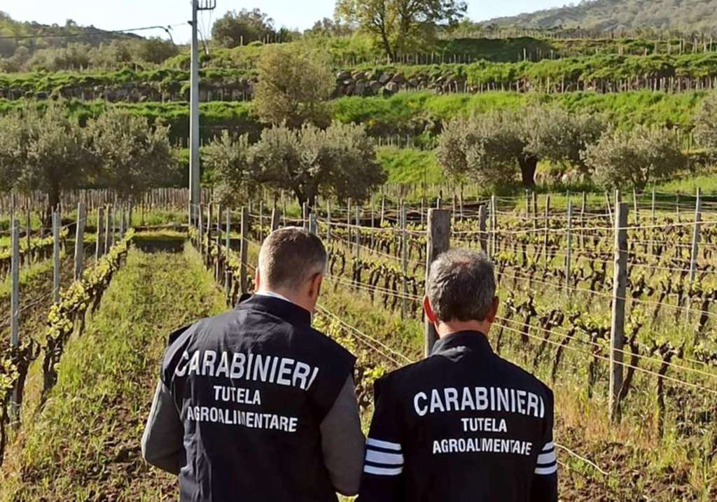 Reparto Carabinieri per la Tutela Agroalimentare di Parma