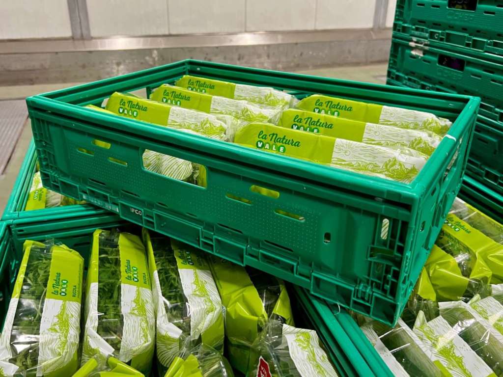 La cassette Rpc per l'ortofrutta Ifco