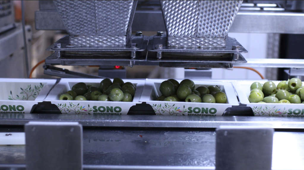 Stabilimento produttivo olive Ficacci