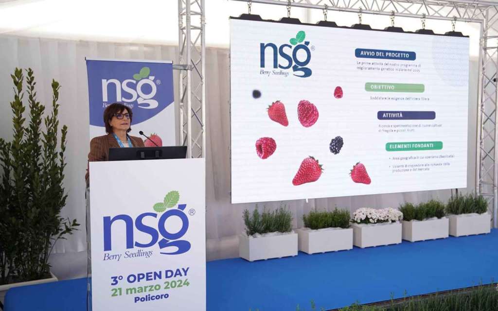 Carmela Suriano, direttrice di Nsg