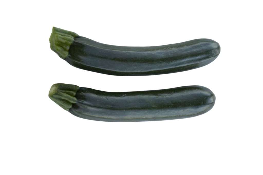 Le nuove varietà di zucchino Syngenta