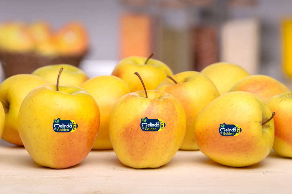 Mela Golden, Melinda la più amata dagli italiani