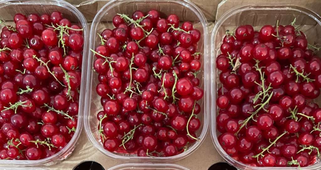 Il mercato dei piccoli frutti è in crescita a livello mondiale