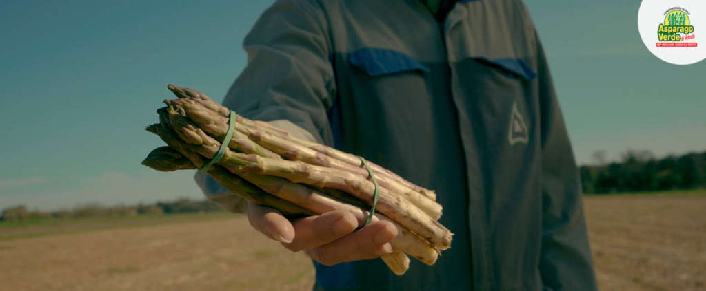 Un fotogramma del nuovo spot dell'Asparago di Altedo Igp