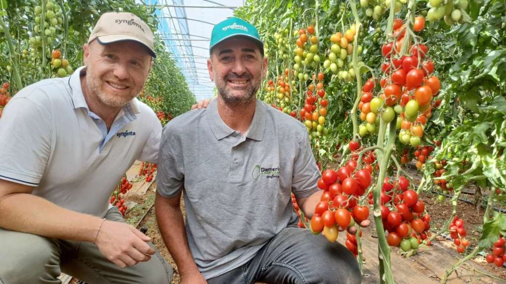Francesco Silvestri (Syngenta) e Roberto Petrillo dell'omonima azienda