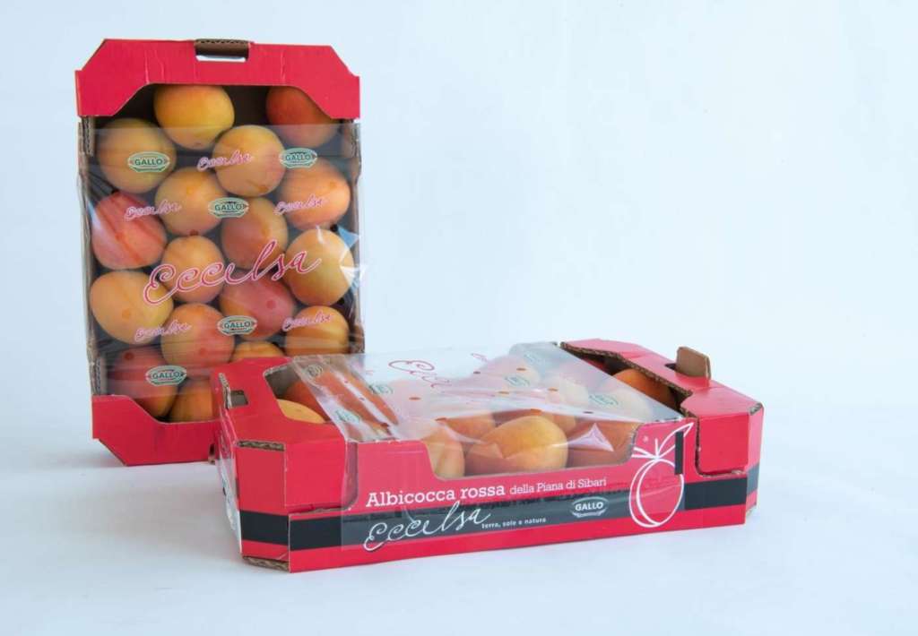 Albicocche rosse gamma premium Gallo Eccelsa