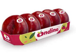 Nettarine, la filiera chiede  un cambio di passo Forma e pack che si distinguono a scaffale