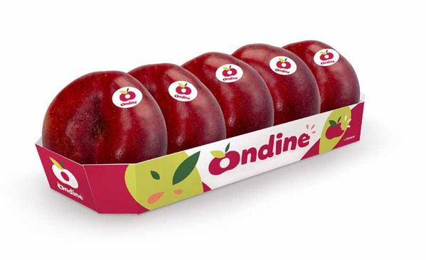 Forma e pack che si distinguono a scaffale