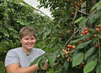 Francesca Dallago, agricoltore di Apot in fase di raccolta