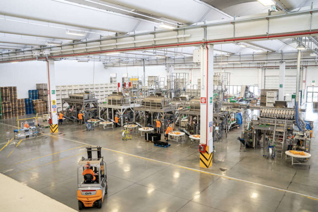 Stabilimento patate Romagnoli