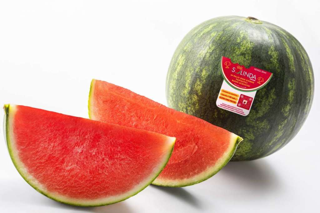 Solinda, la mini anguria di Peviani con l'etichetta del concorso