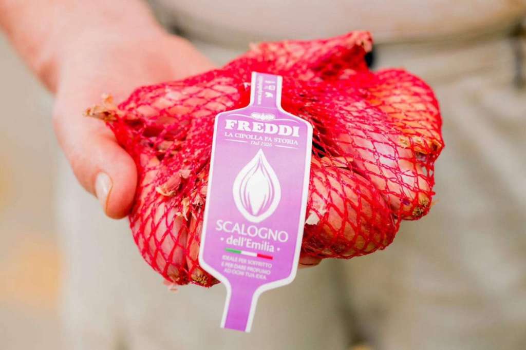 Lo Scalogno dell'Emilia Freddi Prodotti Ortofrutticoli
