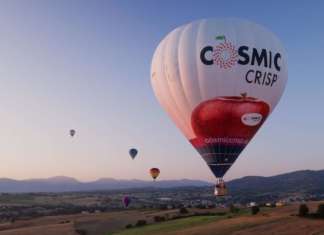 Le iniziative marketing per Cosmic Crisp, dalla mongolfiera a Instagram