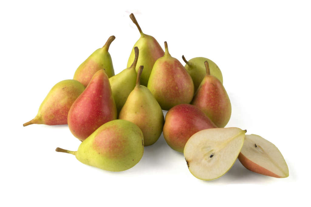 La pera estiva siciliana Coscia a marchio Oranfrizer