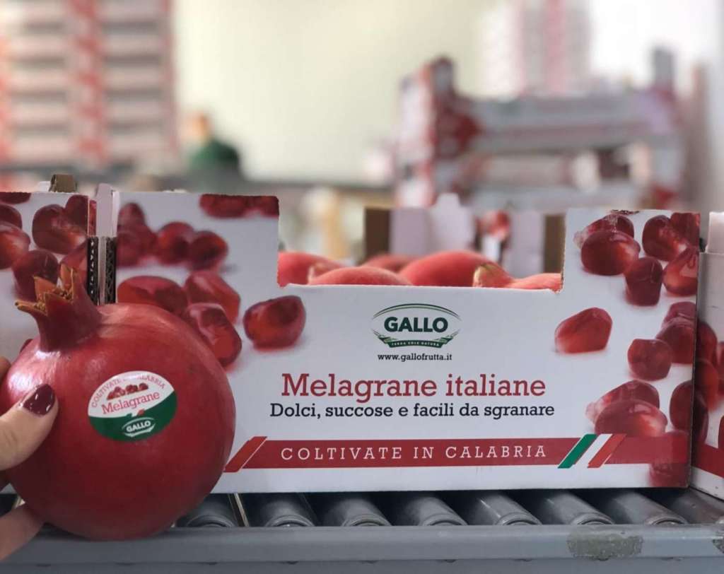 Le melagrane con il brand Gallo