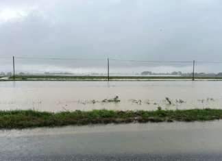 Allagamenti nel Cesenate Forlivese e Riminese