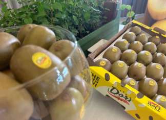 Il kiwi giallo Dorì amplia la filiera nel mondo