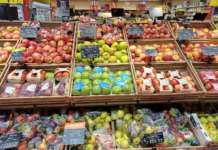 Andamento prezzi ortofrutta in Italia al 21 settembre 2026 Entra nel vivo la campagna delle mele italiane