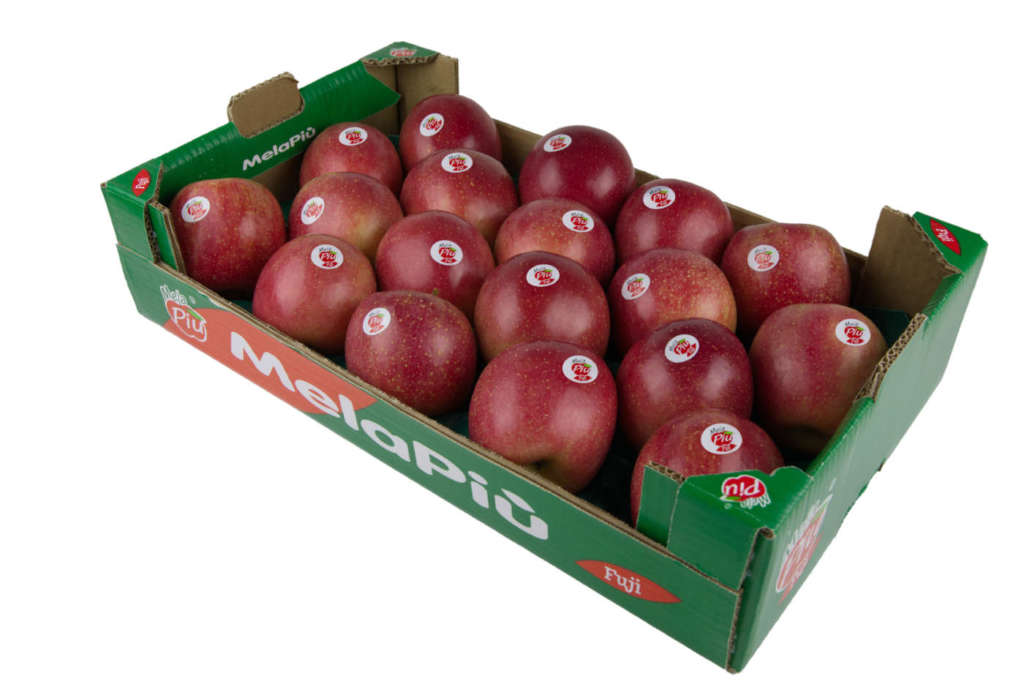 Mela Fuji MelaPiù, la mela di pianura