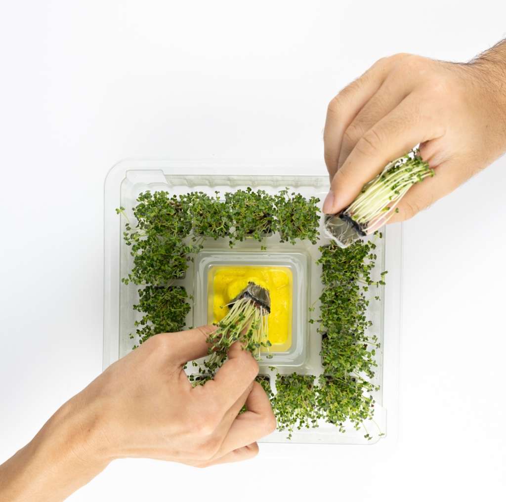 CiboCi è un alimento funzionale completamente vegetale