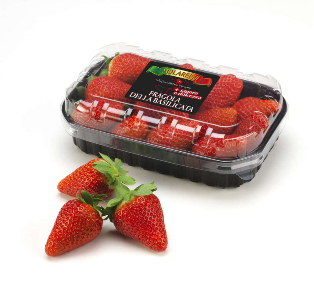 Fragole della Basilicata a marchio Solarelli