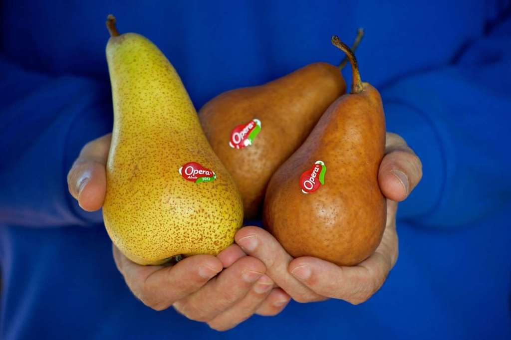 Le Pere Opera contrassegnate dal bollino