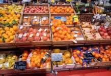 Partita in anticipo la campagna delle arance bionde italiane