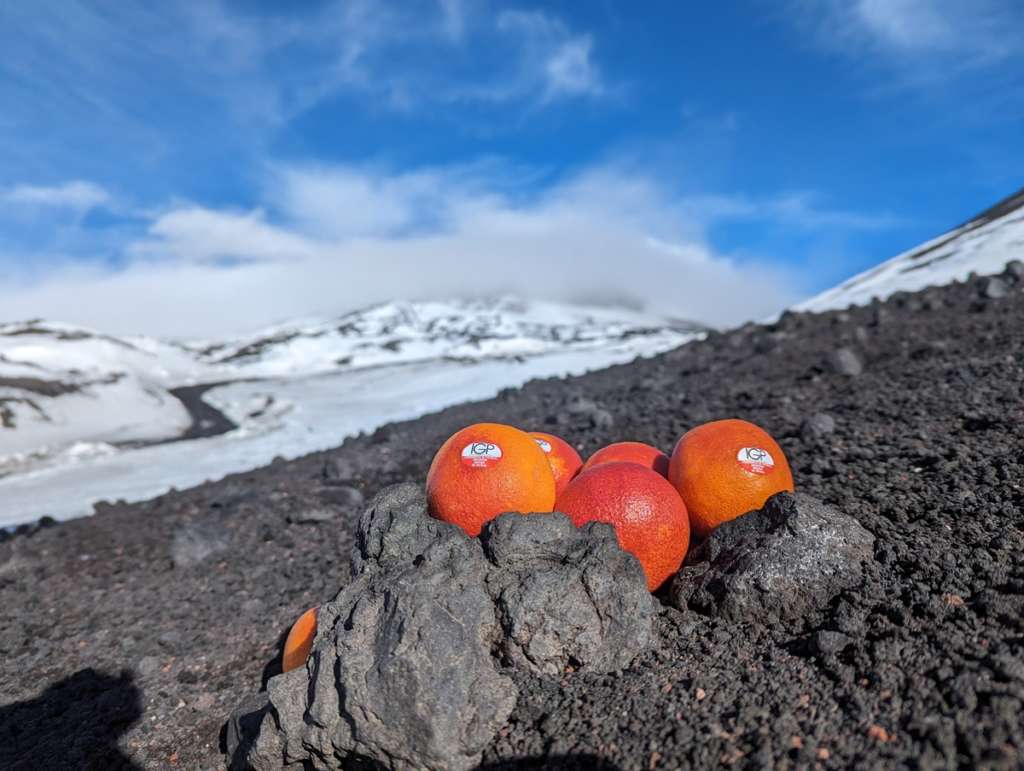 L'Arancia Rossa di Sicilia Igp è ricca di polifenoli