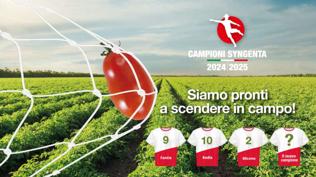 L'innovativa campagna Syngenta sul pomodoro da industria