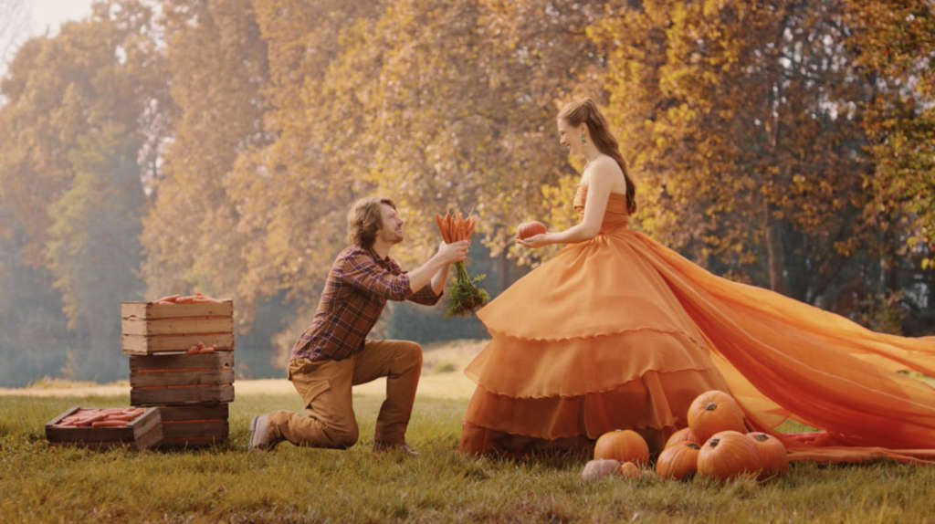 Spot DimmidiSì, frame matrimonio zucca e carote