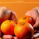 Giornata contro la violenza alle donne, le iniziative delle associazioni ortofrutticole La locandina dell'iniziativa di Confagricoltura Donna per la giornata del 25 novembre